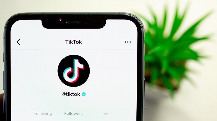 Tải video TikTok không mất phí, bạn có thể tải và xem video trên ứng dụng mà không cần trả bất kỳ chi phí nào.