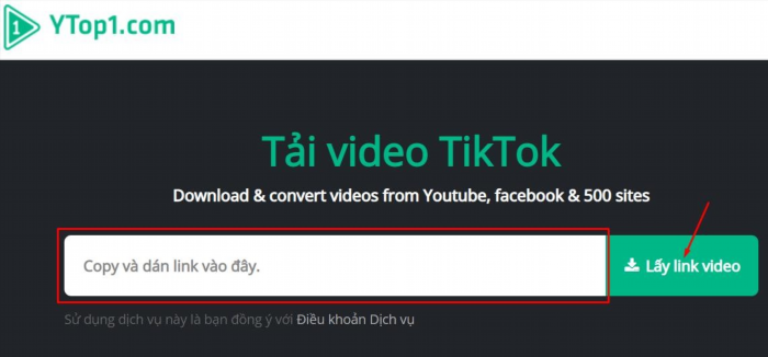 Tải video TikTok không logo với YTop1 giúp bạn tải xuống các video TikTok mà không có logo của ứng dụng, từ đó bạn có thể chia sẻ và sử dụng video một cách tự do và linh hoạt hơn.