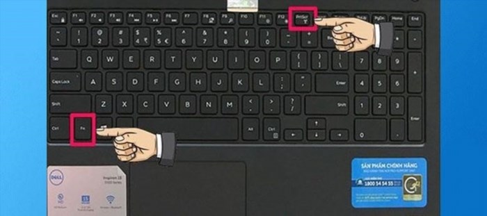 Cách vào wifi trên laptop Dell, HP, Asus, Acer là tương tự nhau. Bạn cần nhấn vào biểu tượng wifi ở góc phải màn hình, sau đó chọn mạng wifi mà bạn muốn kết nối. Nhập mật khẩu wifi (nếu có) và chờ máy tính kết nối thành công.