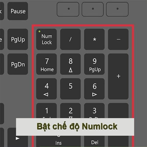 Hãy nhấn nút NumLock để kích hoạt bàn phím số.