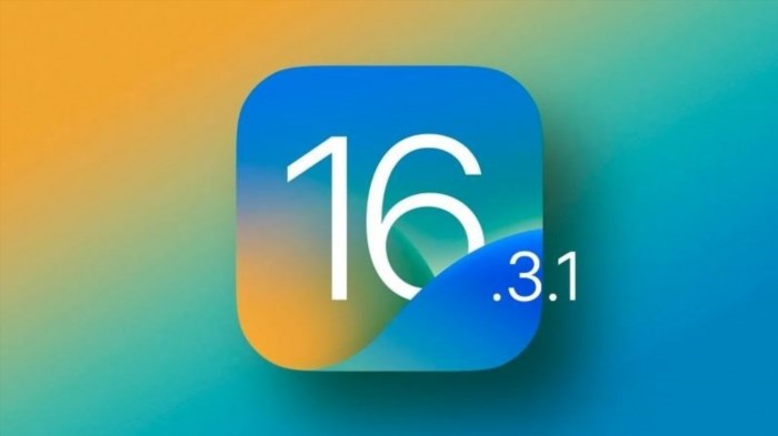 Phiên bản chính thức của Apple là iOS 16.3.1.