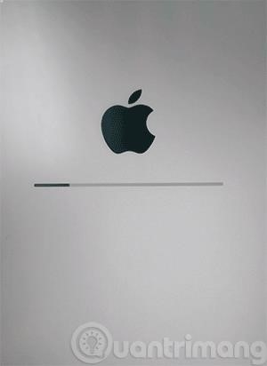 Màn hình của iPhone sẽ chuyển sang màu trắng với logo Apple màu đen.
