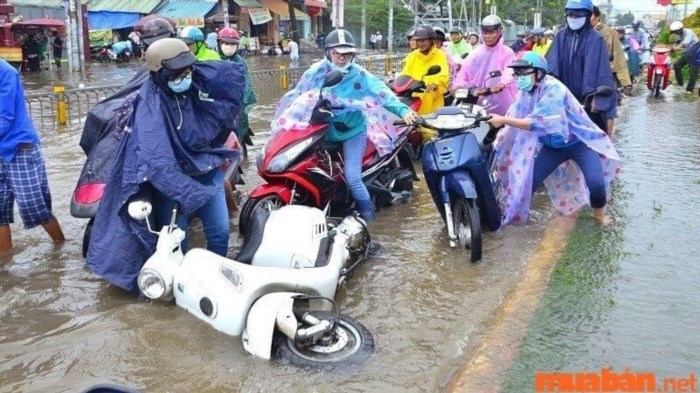 Không lái xe trên đường ngập nước.