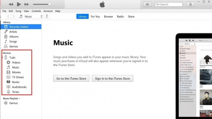 iTunes sẽ hiển thị iPhone mà vừa được kết nối thành công.