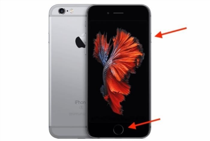 Khởi động lại các điện thoại iPhone 5s, SE, 6, 6 Plus, 6s hoặc 6s Plus bị treo.