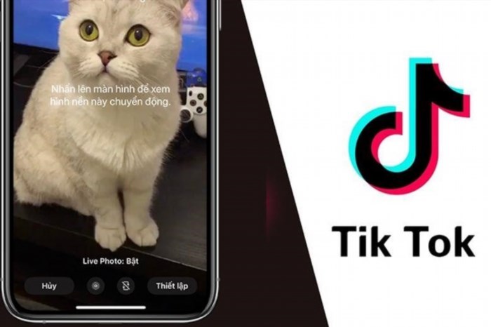 Hướng dẫn nhanh cách lưu Video Tiktok trên iPhone khi không có nút lưu.