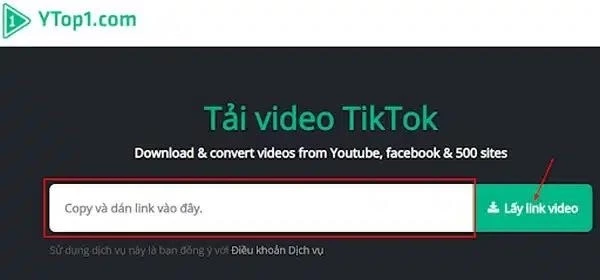 Sử dụng Ytop1 để tải video TikTok mà không có biểu trưng dễ dàng.