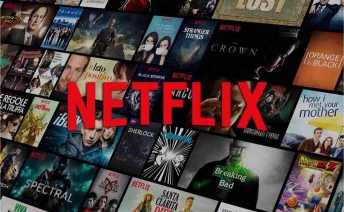 Netflix là một dịch vụ phát trực tuyến cho phép người dùng xem phim, chương trình truyền hình và nội dung giải trí trên internet. Nó cung cấp một thư viện phong phú của các bộ phim và chương trình truyền hình từ nhiều thể loại khác nhau, bao gồm cả phim hành động, hài kịch, kinh dị, tình cảm và nhiều thể loại khác nữa.
