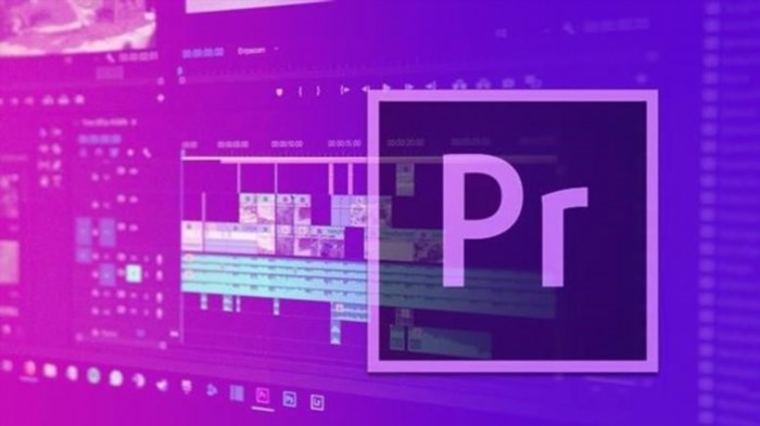 Các tính năng nổi bật của Adobe Premiere Pro bao gồm khả năng chỉnh sửa và xử lý video chuyên nghiệp, hỗ trợ đa định dạng và khả năng làm việc với nhiều lớp và hiệu ứng, cung cấp công cụ mạnh mẽ để tăng cường âm thanh và chỉnh sửa màu sắc, cung cấp tính năng tạo và quản lý phân đoạn, cung cấp tính năng chia sẻ và làm việc nhóm hiệu quả, và hỗ trợ tích hợp với các ứng dụng khác trong quy trình làm việc sáng tạo.