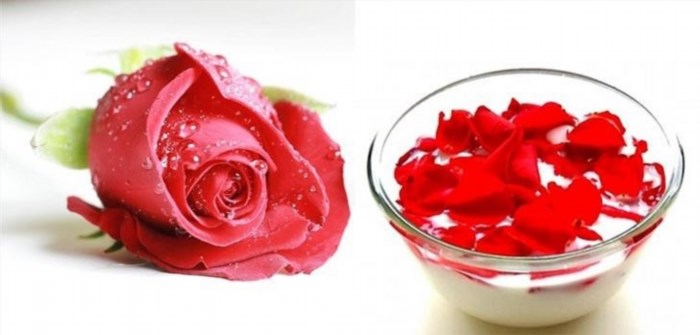 Mẹo trị môi khô bằng cánh hoa hồng và sữa chua là một phương pháp tự nhiên giúp làm dịu và làm mềm môi, đồng thời cung cấp dưỡng chất và độ ẩm cho môi, giúp môi trở nên mềm mịn và mịn màng hơn.