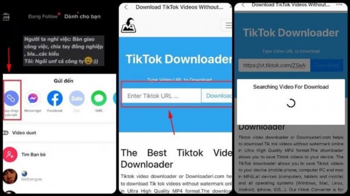 Website Downloaderi.com cung cấp dịch vụ tải video TikTok không logo một cách dễ dàng và nhanh chóng, giúp người dùng có thể lưu trữ và chia sẻ video mà không bị hiển thị logo của TikTok.