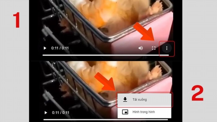 Bạn có thể sao chép liên kết của video bằng cách nhấp chuột phải vào video và chọn 