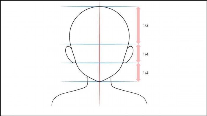 Vẽ hai tai đối xứng qua trục dọc.