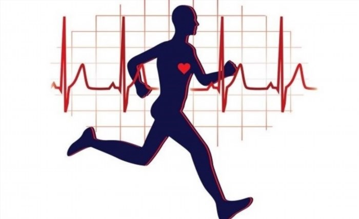 Chạy bộ là một hình thức tập luyện tốt cho tim mạch, giúp cải thiện sức khỏe và tăng cường cường độ hoạt động của tim.