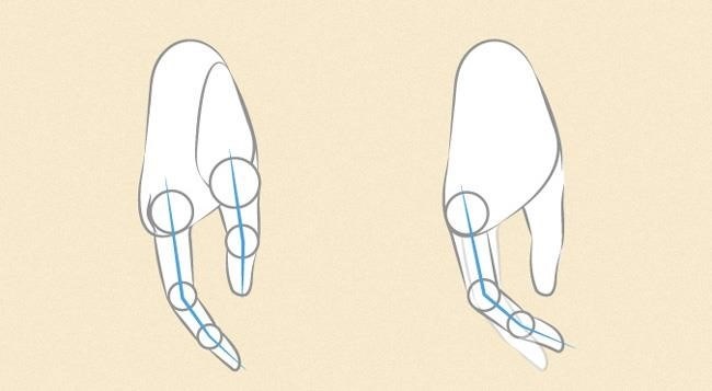 Vẽ ngón cái, ngón trỏ và ngón giữa từ góc nhìn một phía.