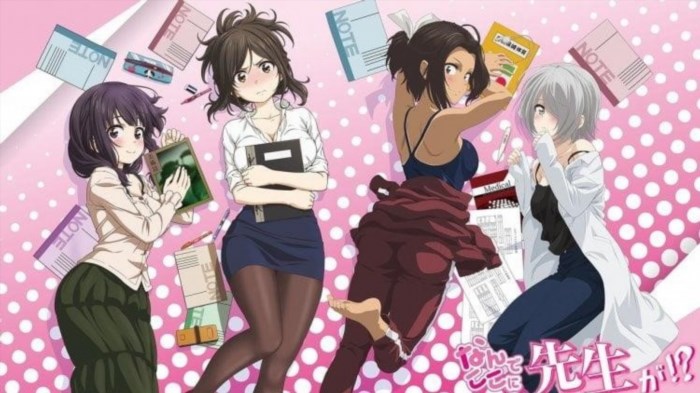 Nande Koko ni Sensei ga là một bộ anime hài hước và ecchi, nó kể về câu chuyện giữa một học sinh trung học tên là Ichirou và một giáo viên cô gái tên là Kojima-sensei, mọi tình huống trong bộ anime đều mang tính chất hài hước và gây cười.