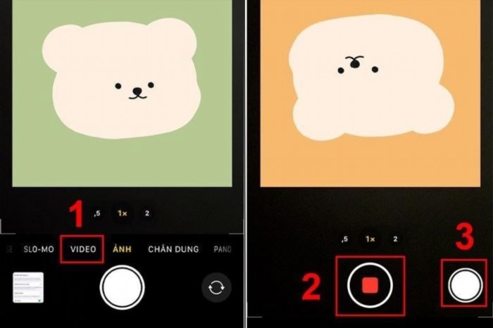 Bạn có thể tắt tiếng chụp ảnh trên iPhone bằng cách quay video thay vì chụp ảnh, điều này giúp tránh âm thanh phát ra từ việc bấm nút chụp và giữ cho không gian yên tĩnh hơn.