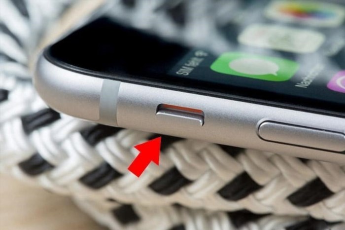 Bạn có thể thử tắt tiếng chụp ảnh trên iPhone bằng cách sử dụng nút gạt âm lượng.