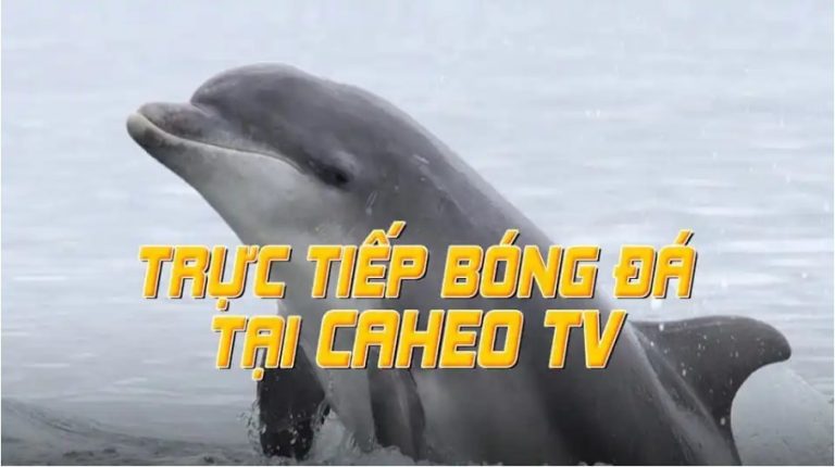 Caheo TV – Chinh phục đam mê bóng đá cùng Cá heo TV