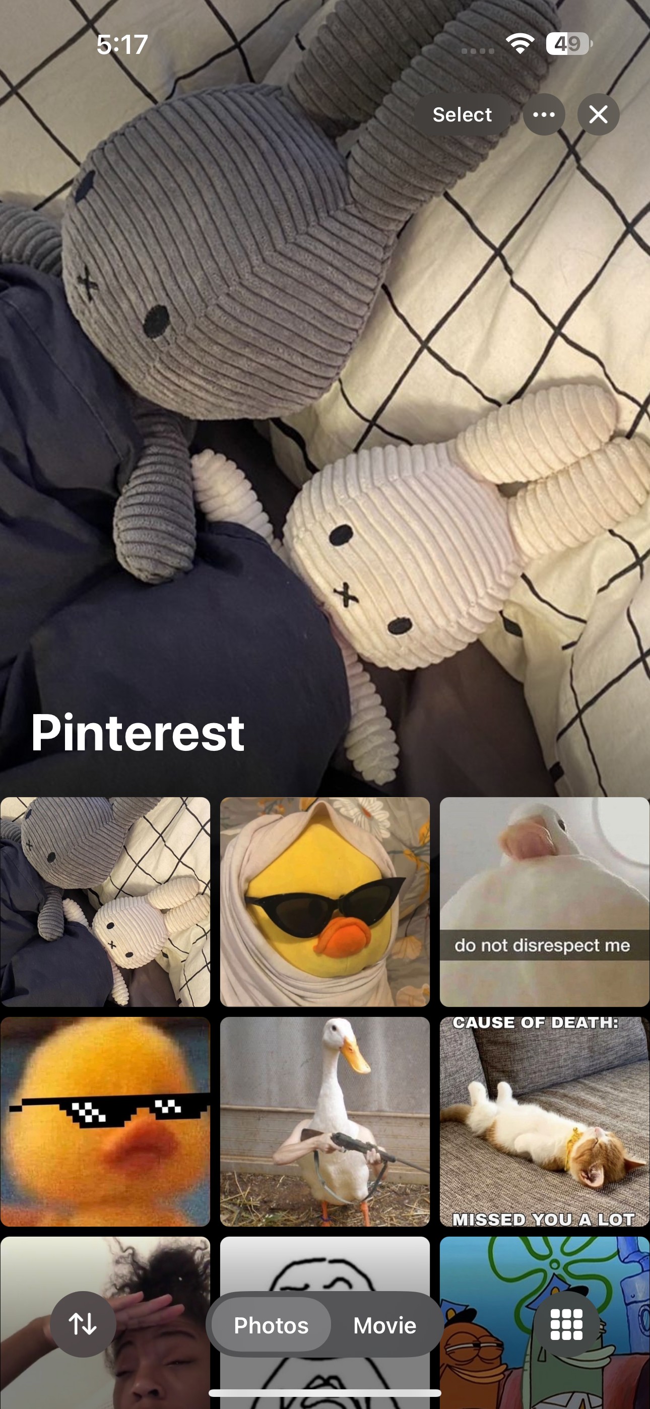 Album có tên &quot;Pinterest&quot; trong ứng dụng Ảnh của iOS