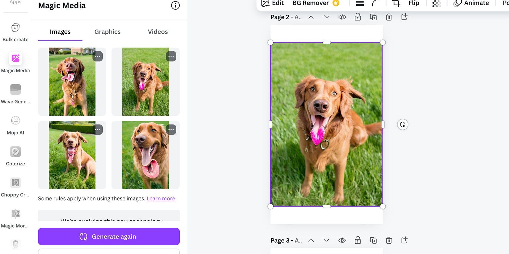 Ảnh chó được tạo bởi Canva