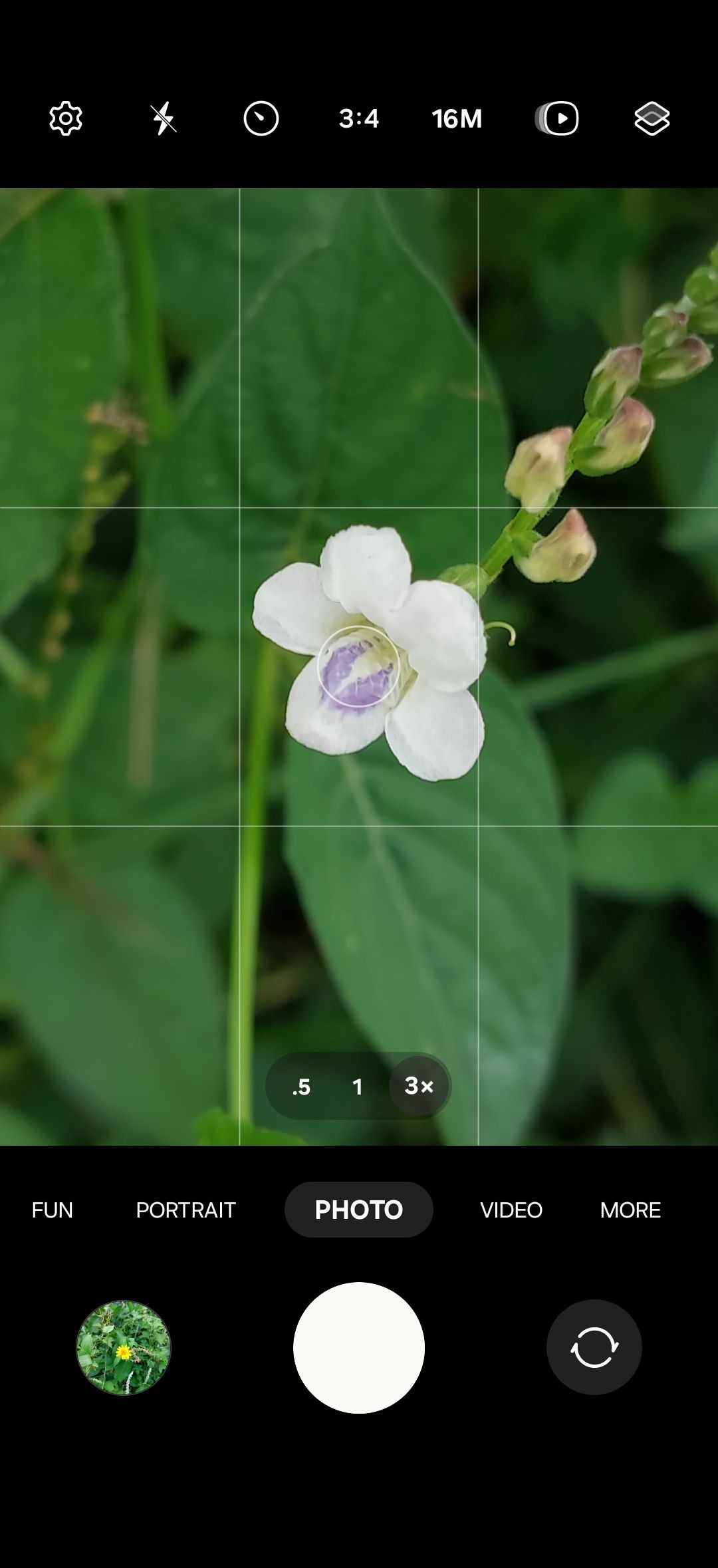 Ảnh chụp màn hình camera hiển thị zoom 3x