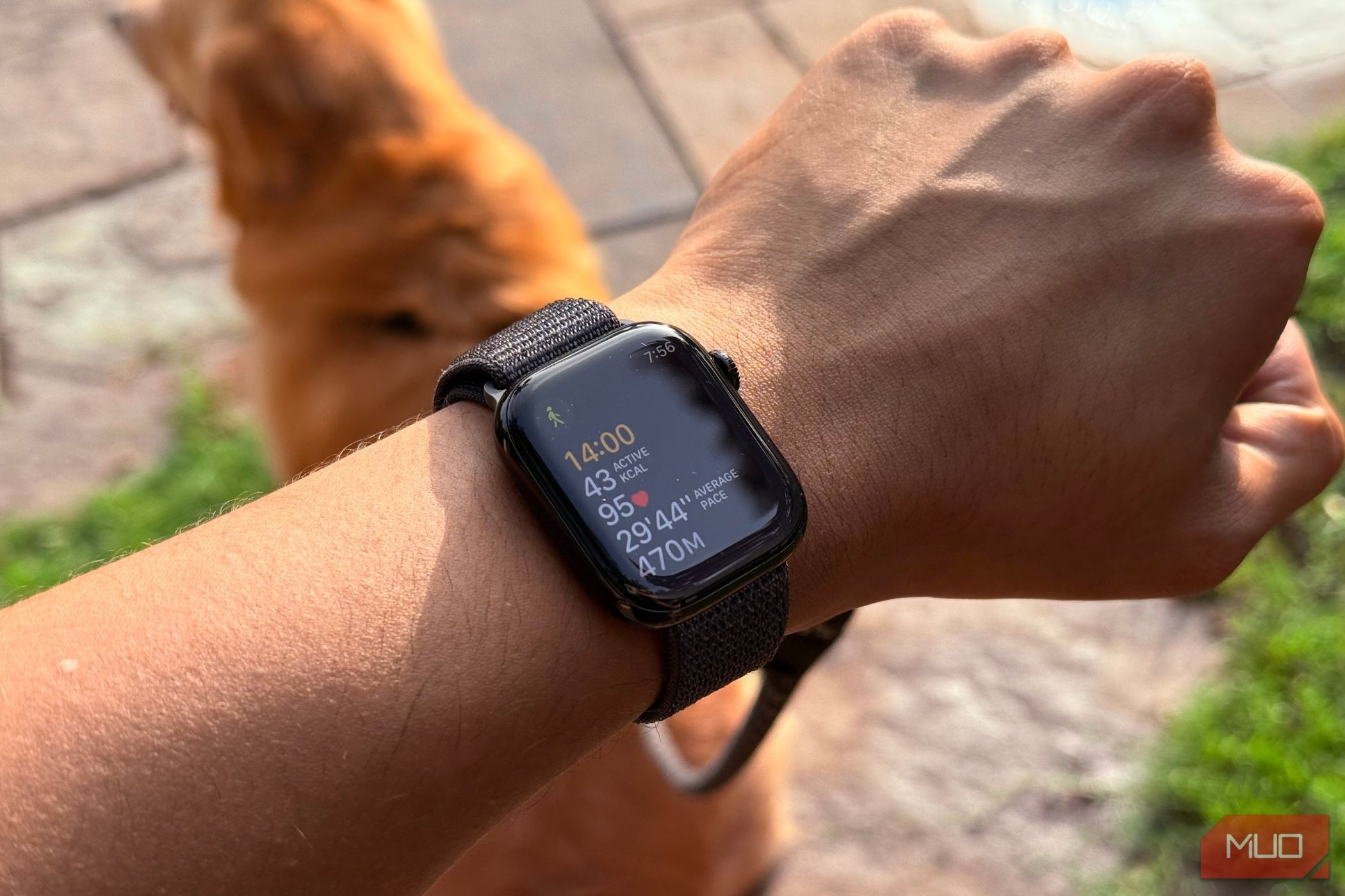 Apple Watch đeo trên cổ tay người đàn ông với ứng dụng tập luyện hiển thị thống kê