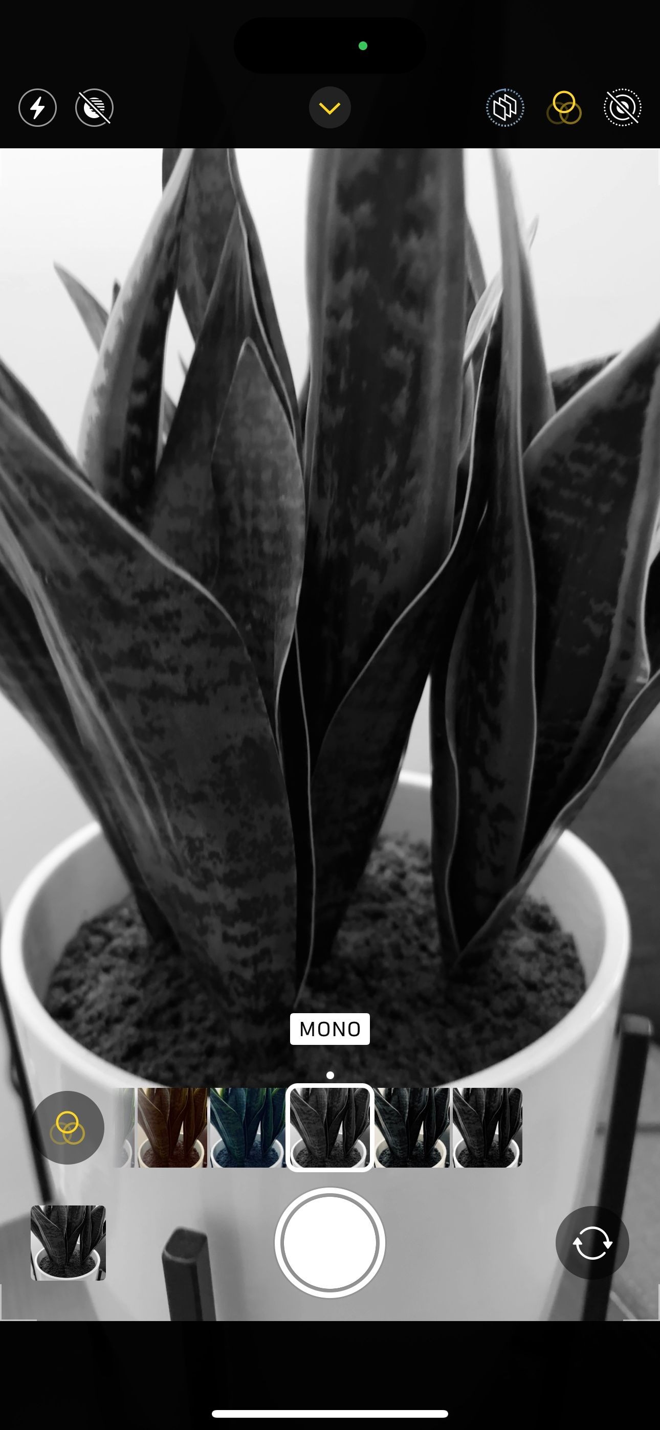 Bộ lọc Mono trên ứng dụng camera iPhone