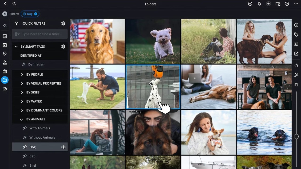 Bộ Lọc Nhanh trong ứng dụng Mylio Photos