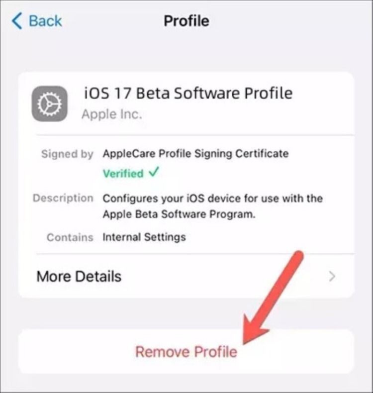 Cài đặt Gỡ bỏ Hồ sơ để Hạ cấp iOS 17 về iOS 16