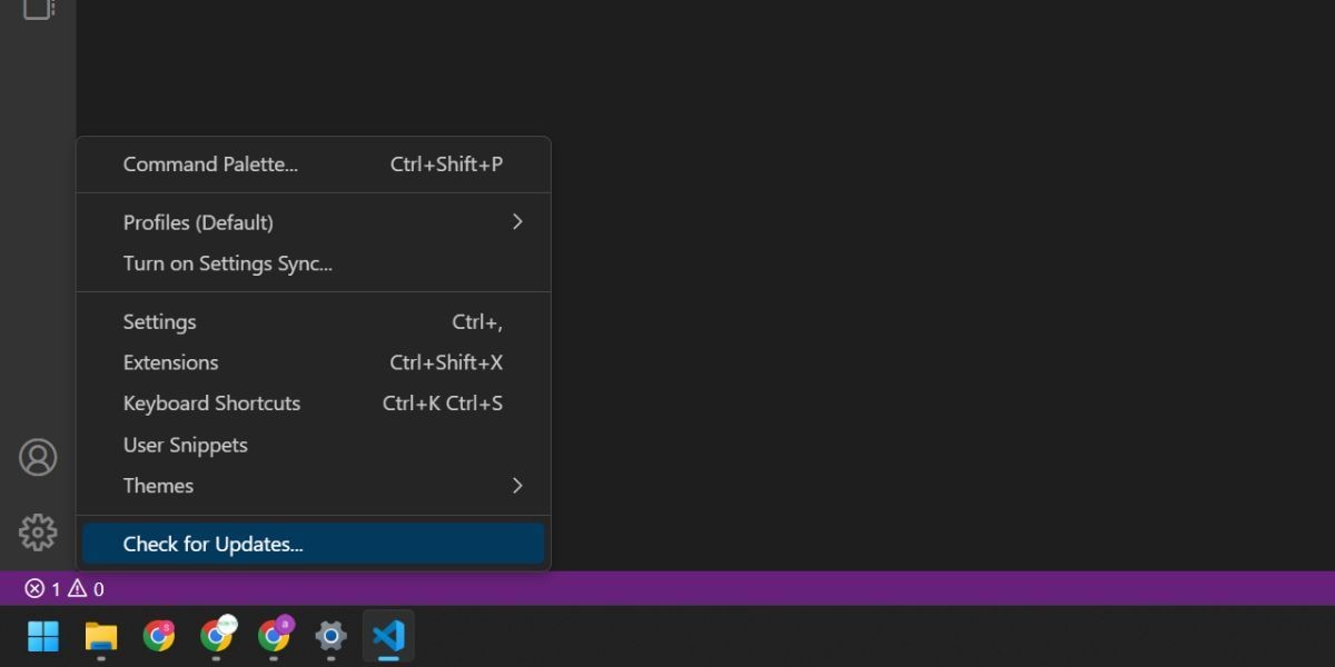 Cập nhật Visual Studio Code