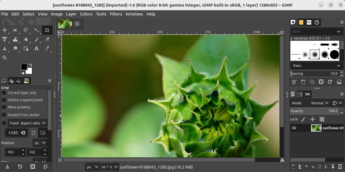 Chỉnh sửa hình ảnh trong GIMP trên Linux