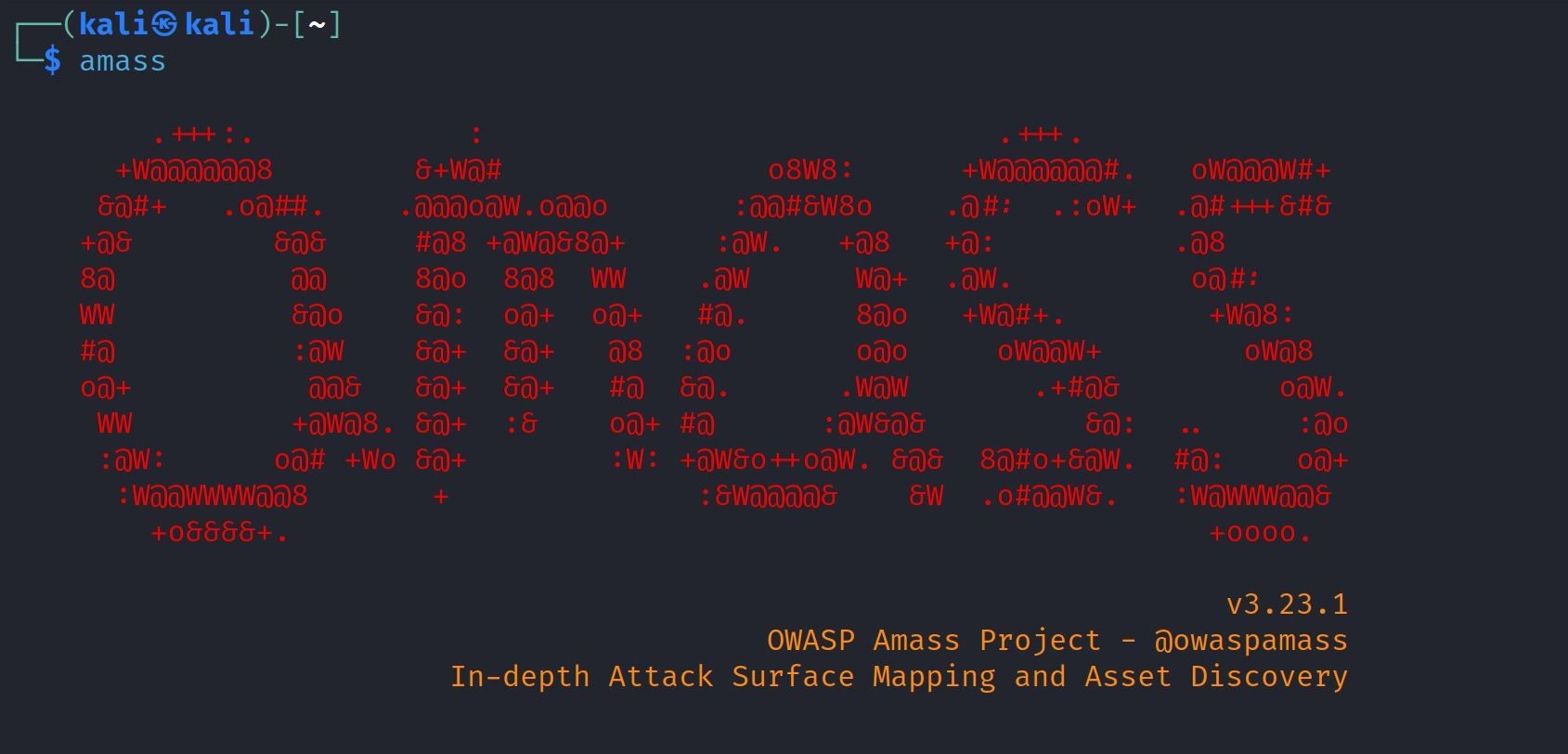 Công cụ Amass trên Linux