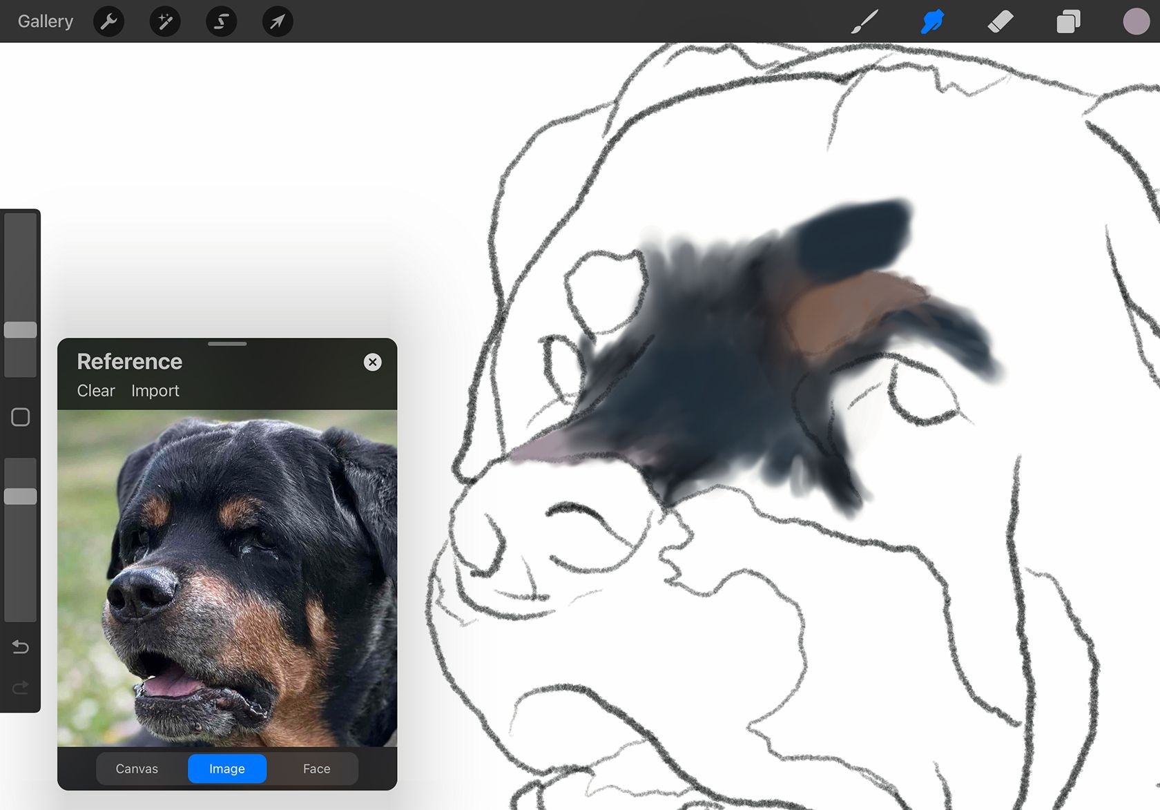 Công cụ Smudge trong Procreate