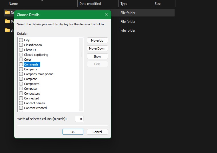 Cửa sổ Chọn Chi Tiết trong File Explorer