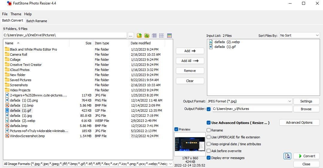 FastStone Photo Resizer 4.4