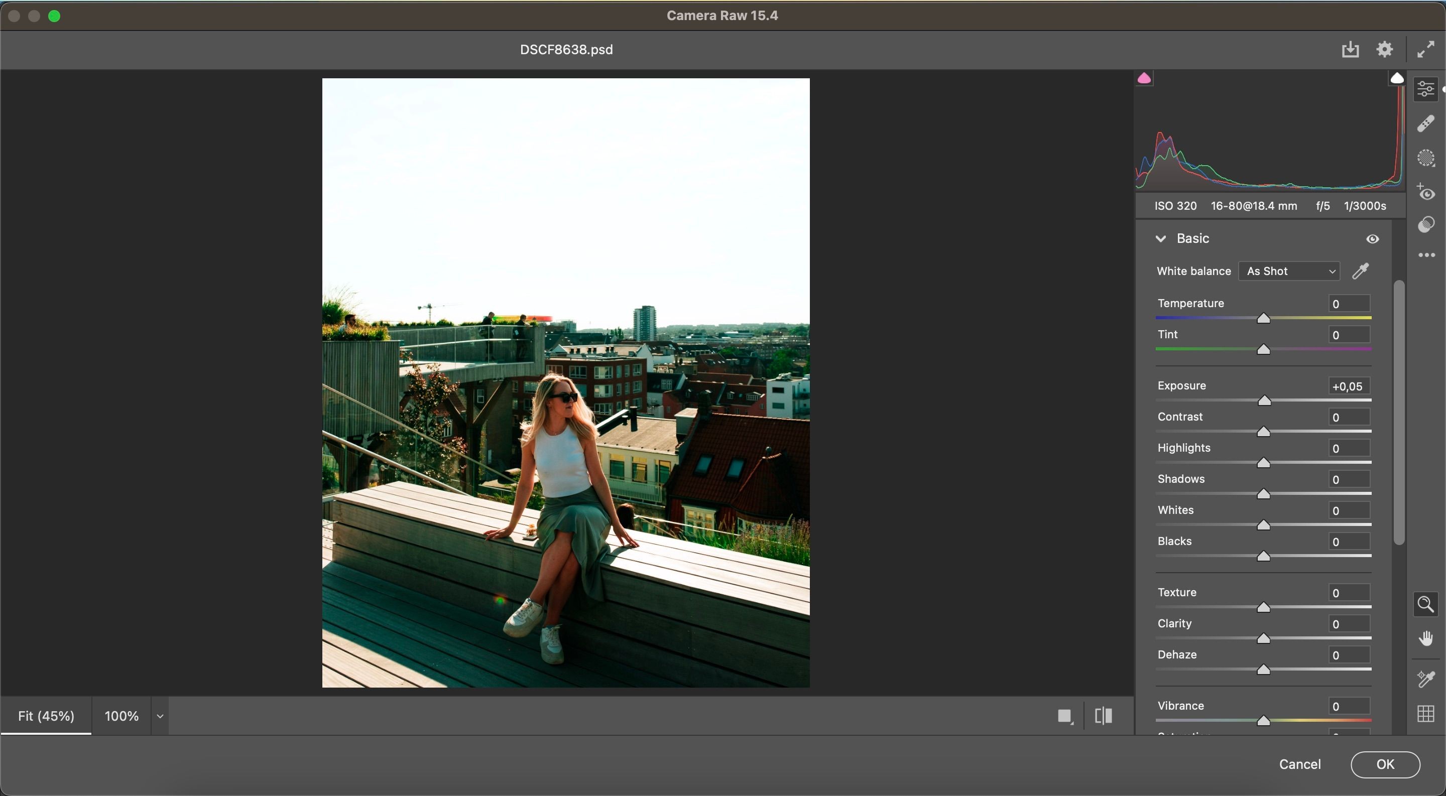 Giao diện Camera Raw trên macOS