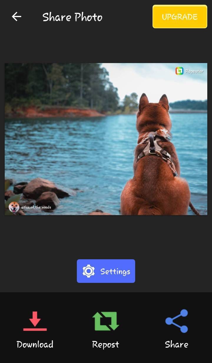 Giao diện ứng dụng Reposter for Story &amp; Video trên Android