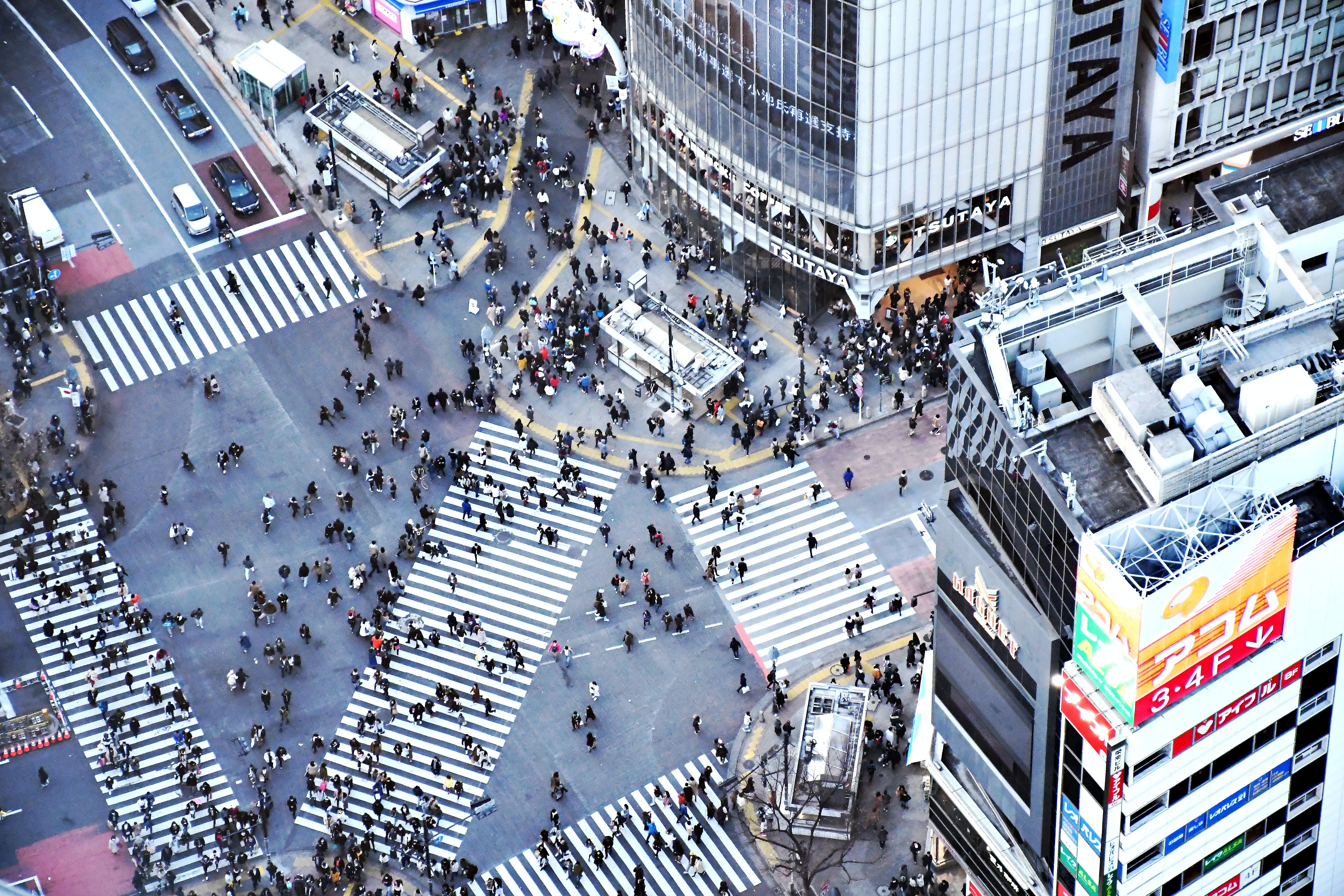 Giao lộ Shibuya ở Tokyo