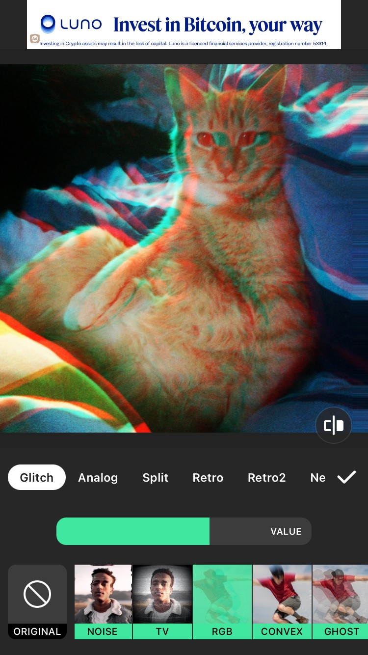 Hiệu ứng glitch trên ảnh mèo cam trong InShot