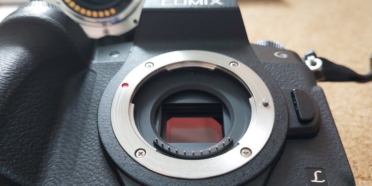 Hình ảnh cảm biến kỹ thuật số của máy ảnh DSLR