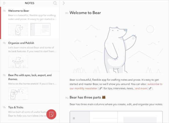 Hình ảnh chào mừng của Bear trên iPad