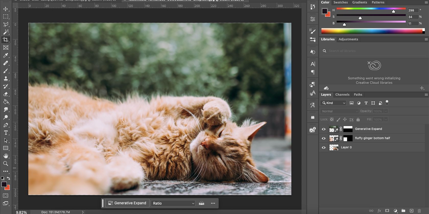 Hình Ảnh Lớn Được Tạo Bởi AI Của Mèo Trong Photoshop