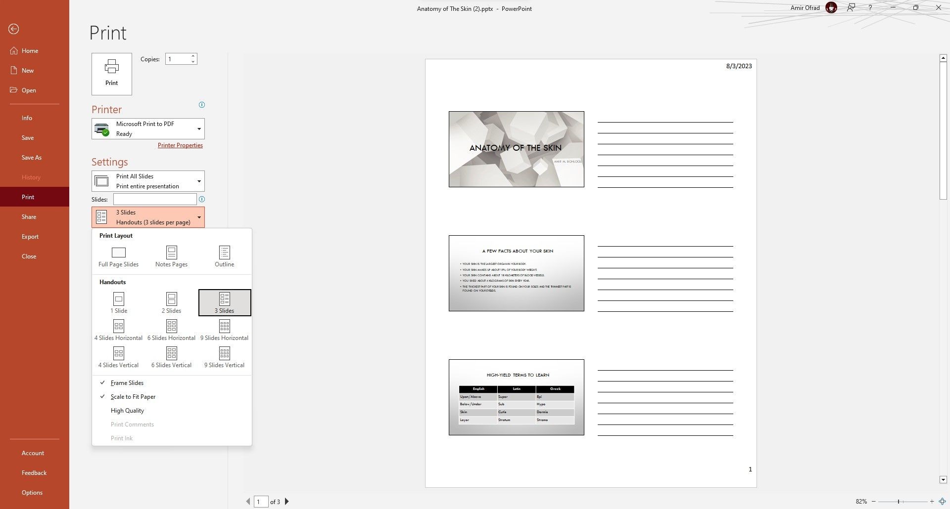 In handouts PowerPoint