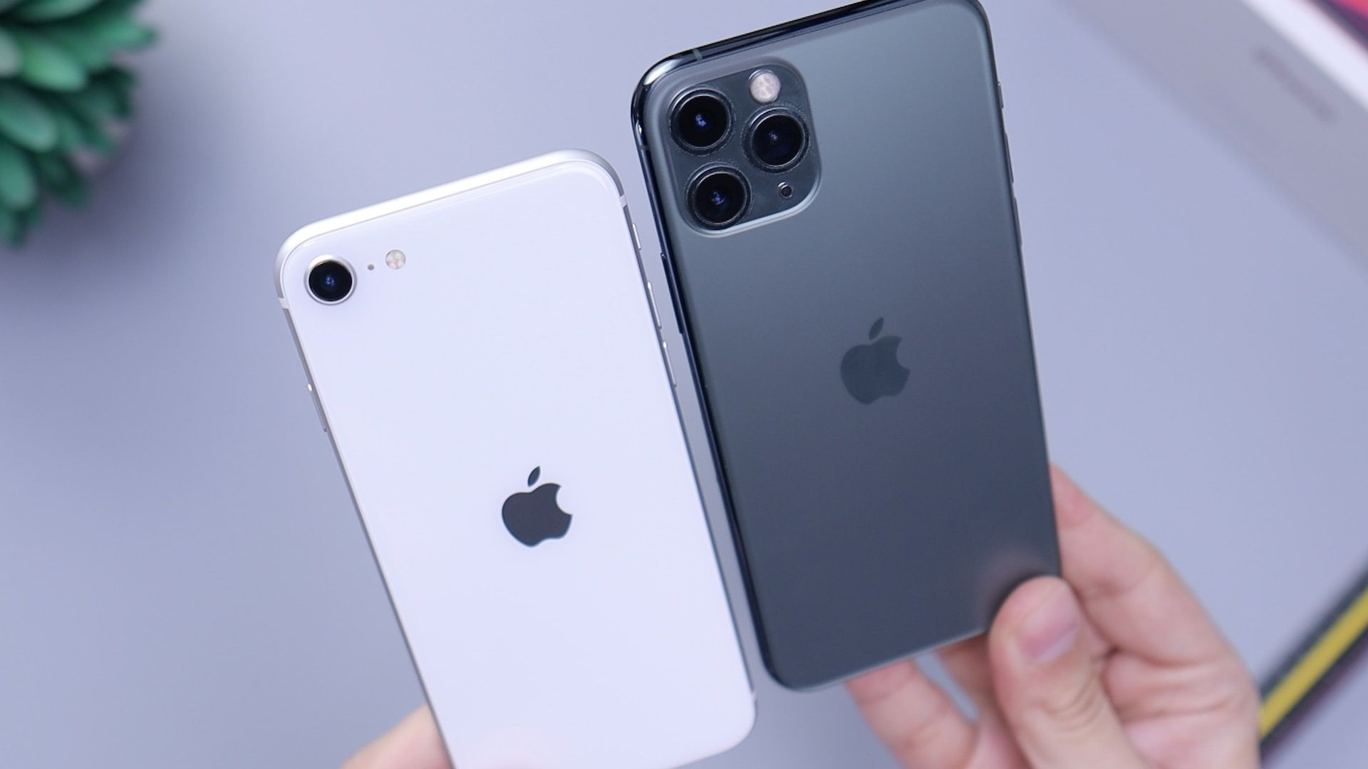 iPhone SE và iPhone 11 Pro cạnh nhau trong tay