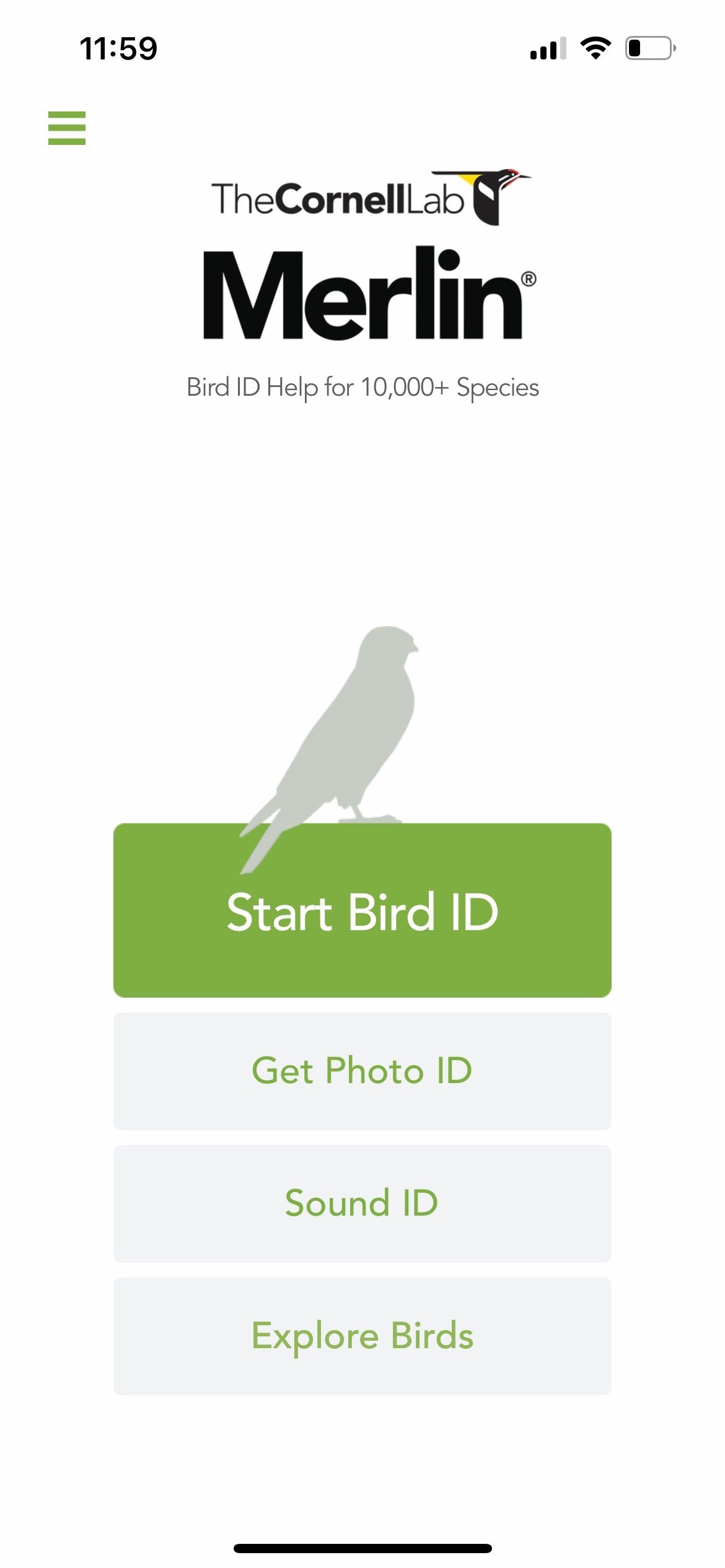 Merlin Bird ID nhận diện chim