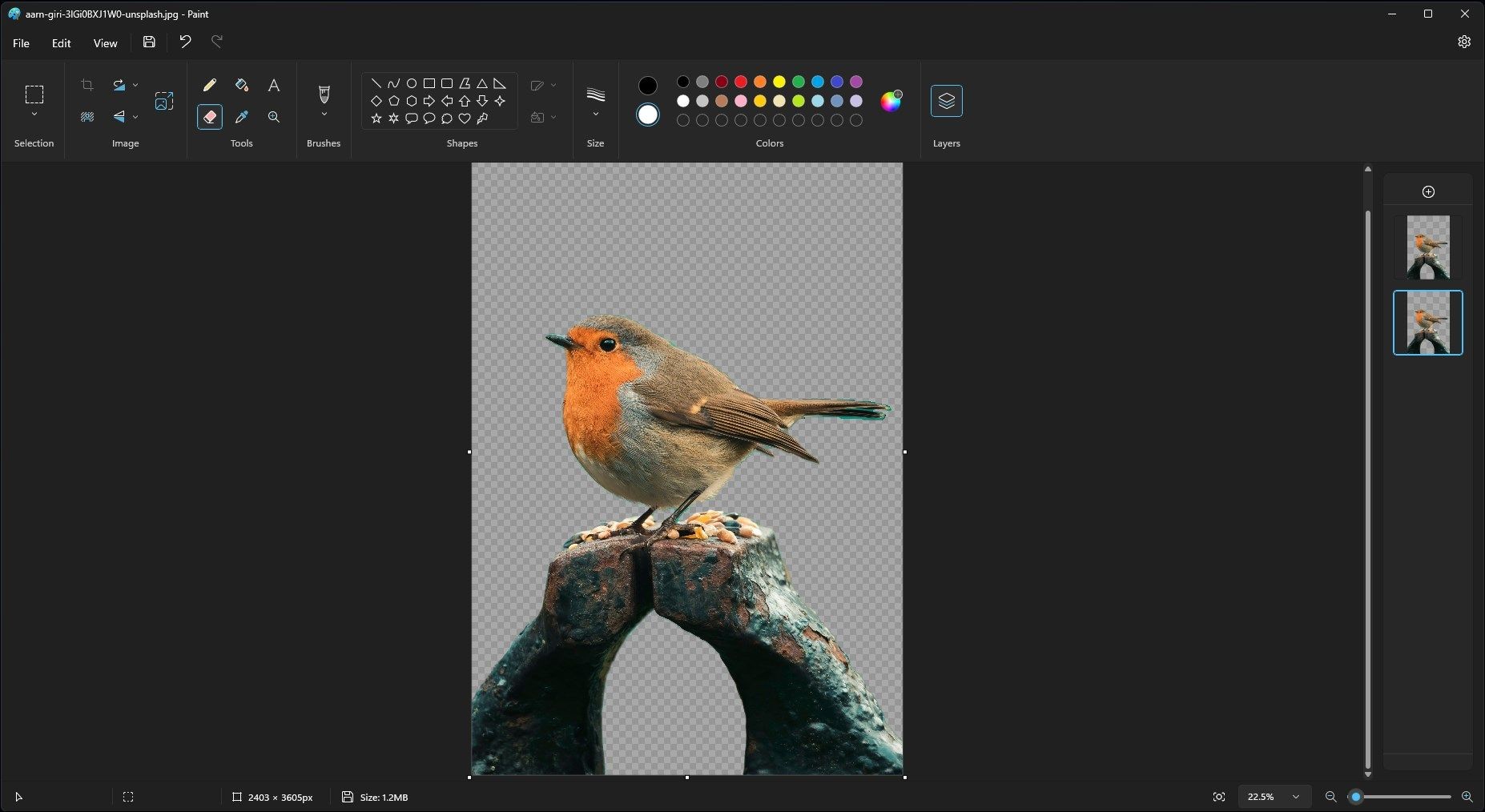 Microsoft Paint App Showing an Image Without Background