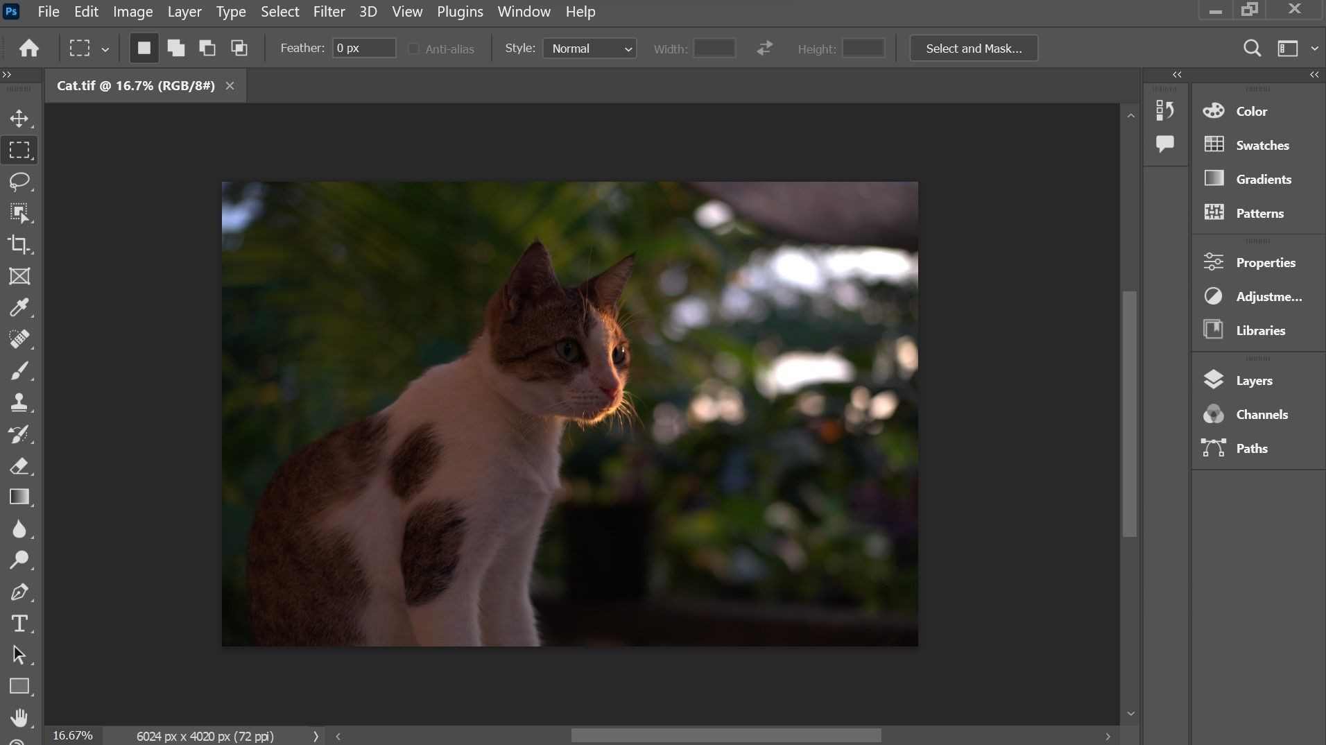 Mở tệp TIFF trên Photoshop