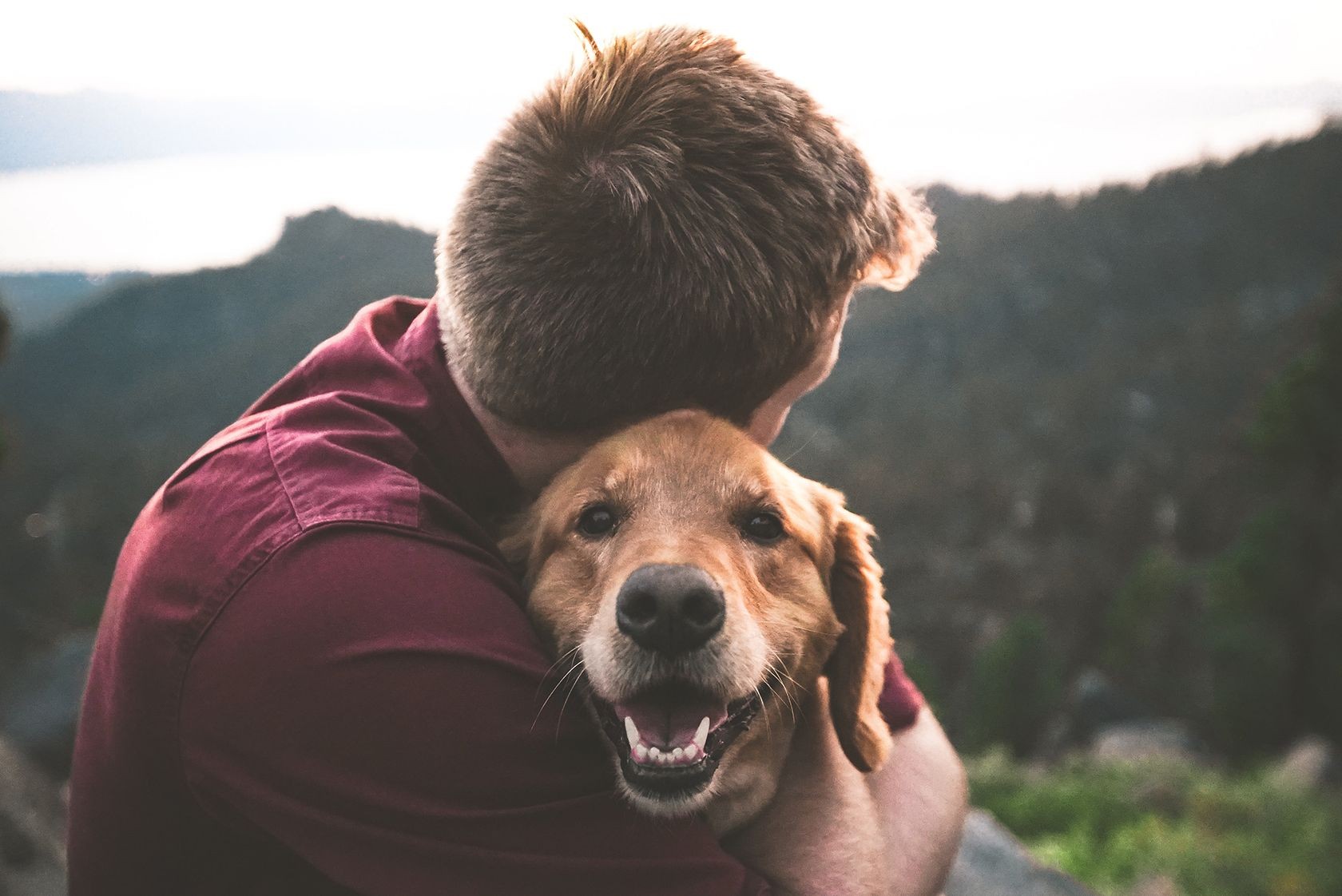 Người đàn ông với chú chó