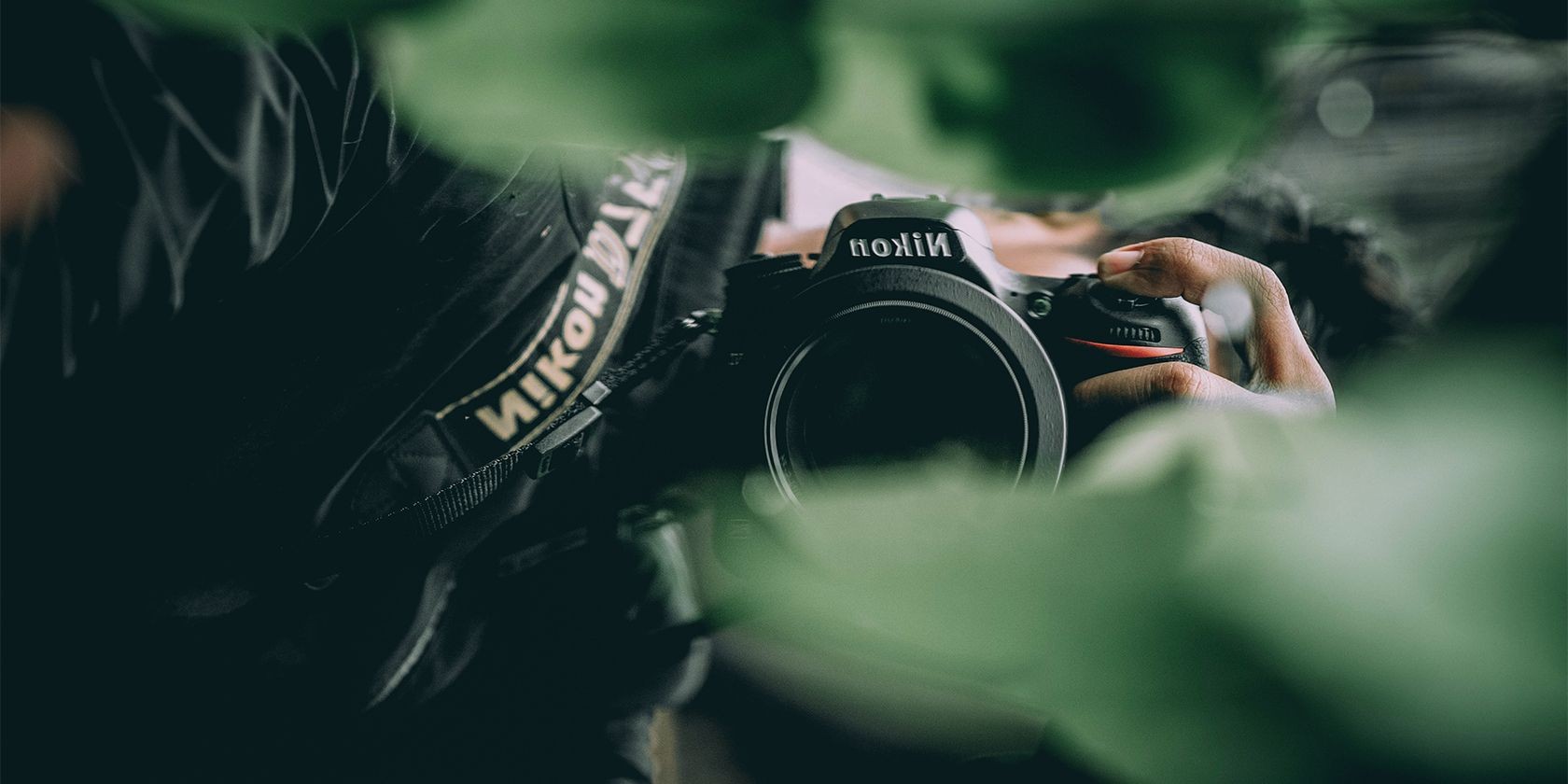 Nhiếp ảnh gia cầm máy ảnh Nikon trong thiên nhiên